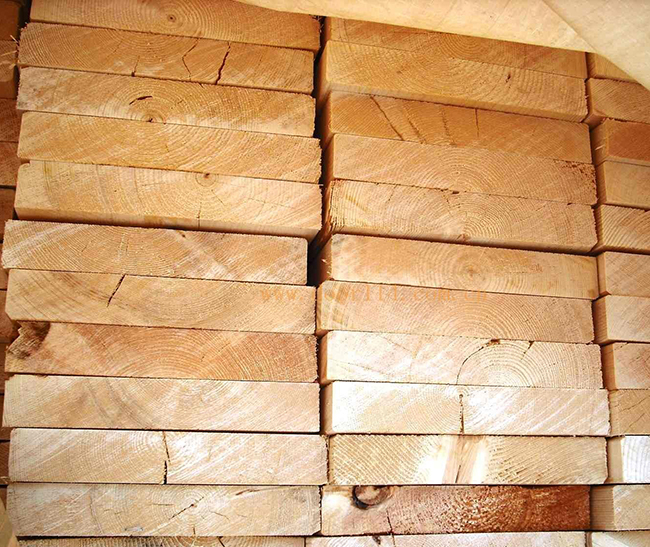 定安智利辐射松方木