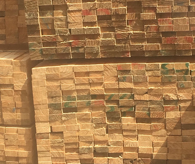 定安新西兰进口松木