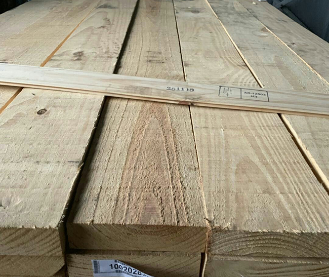 定安阿根廷松木